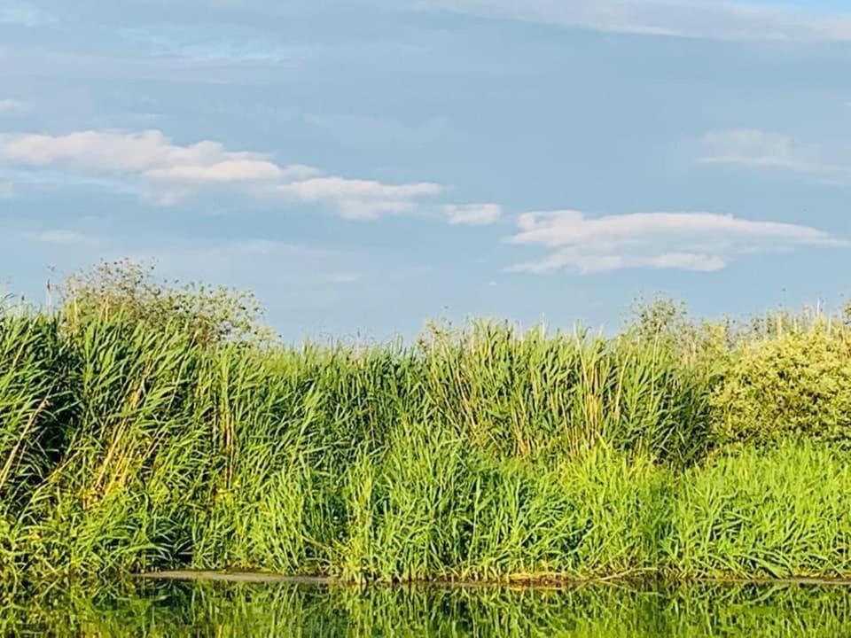 Ausflugsrestaurant & Pension Aalbude & Hausflossvermietung 15 Ps Am Kummerower See-Verchen Dargun Kültér fotó
