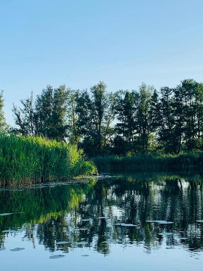 Ausflugsrestaurant & Pension Aalbude & Hausflossvermietung 15 Ps Am Kummerower See-Verchen Dargun Kültér fotó